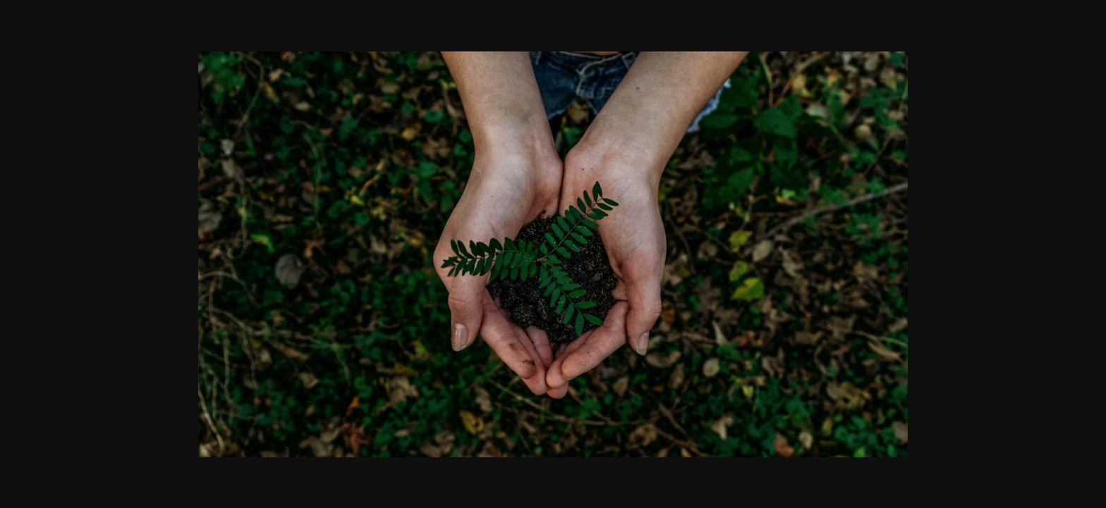 Sustainable Gift Cards and Eco-Friendly Initiatives How Environmental Consciousness Is Transforming theDigital Value Exchange Industry and Consumer Choices